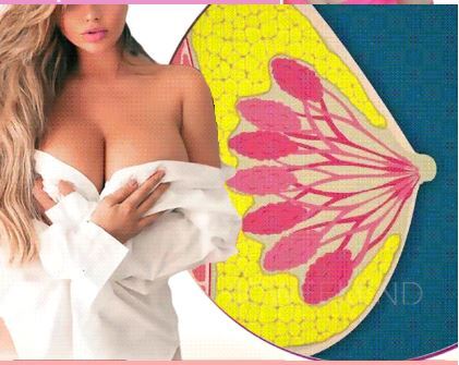 প্রোডাক্ট ভিউ ২